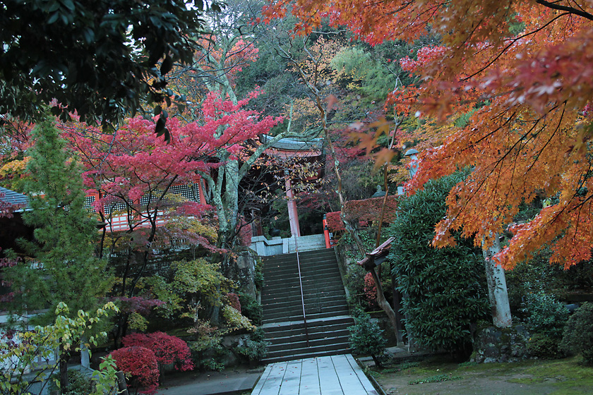 Photo:Yakuoin Onsenji Temple