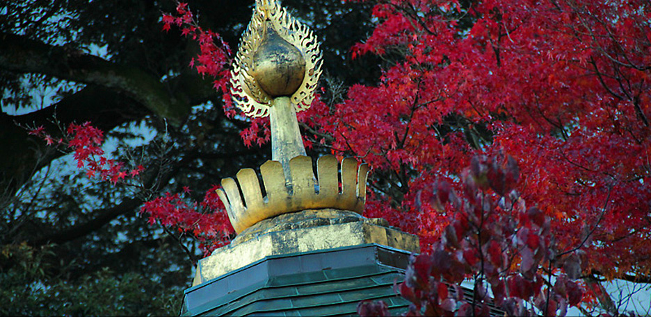 薬王院温泉寺